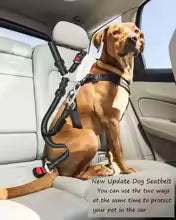 Pawfect Ride™  Dog Seat Belt - Heavy Duty Dual Anchor Restraint